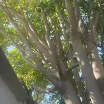 Garden Capodichino
